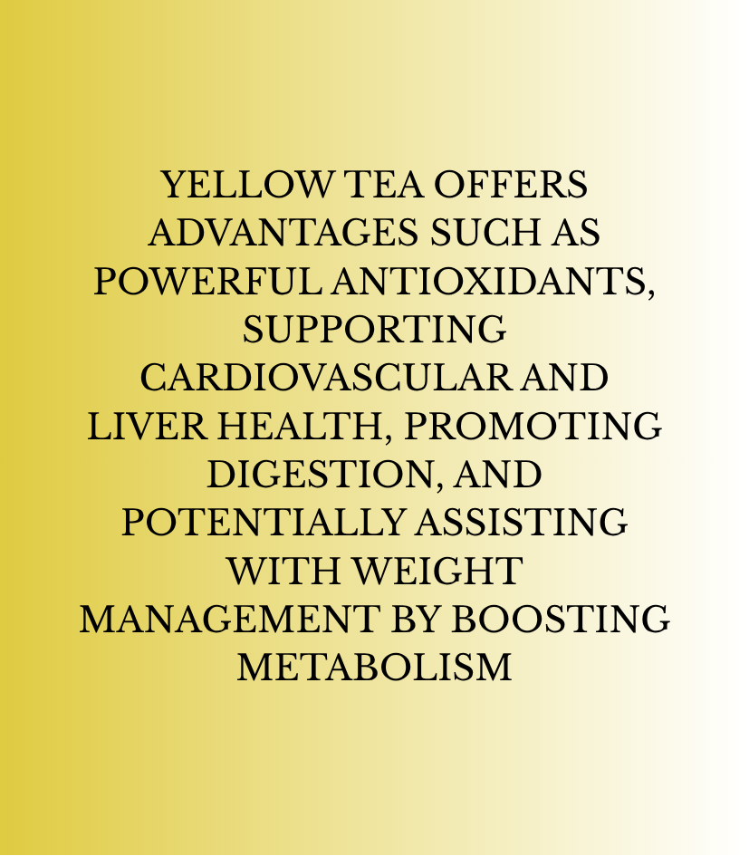 YELLOW TEA BLEND - chamomile flower + saffron ( 20 bags )
