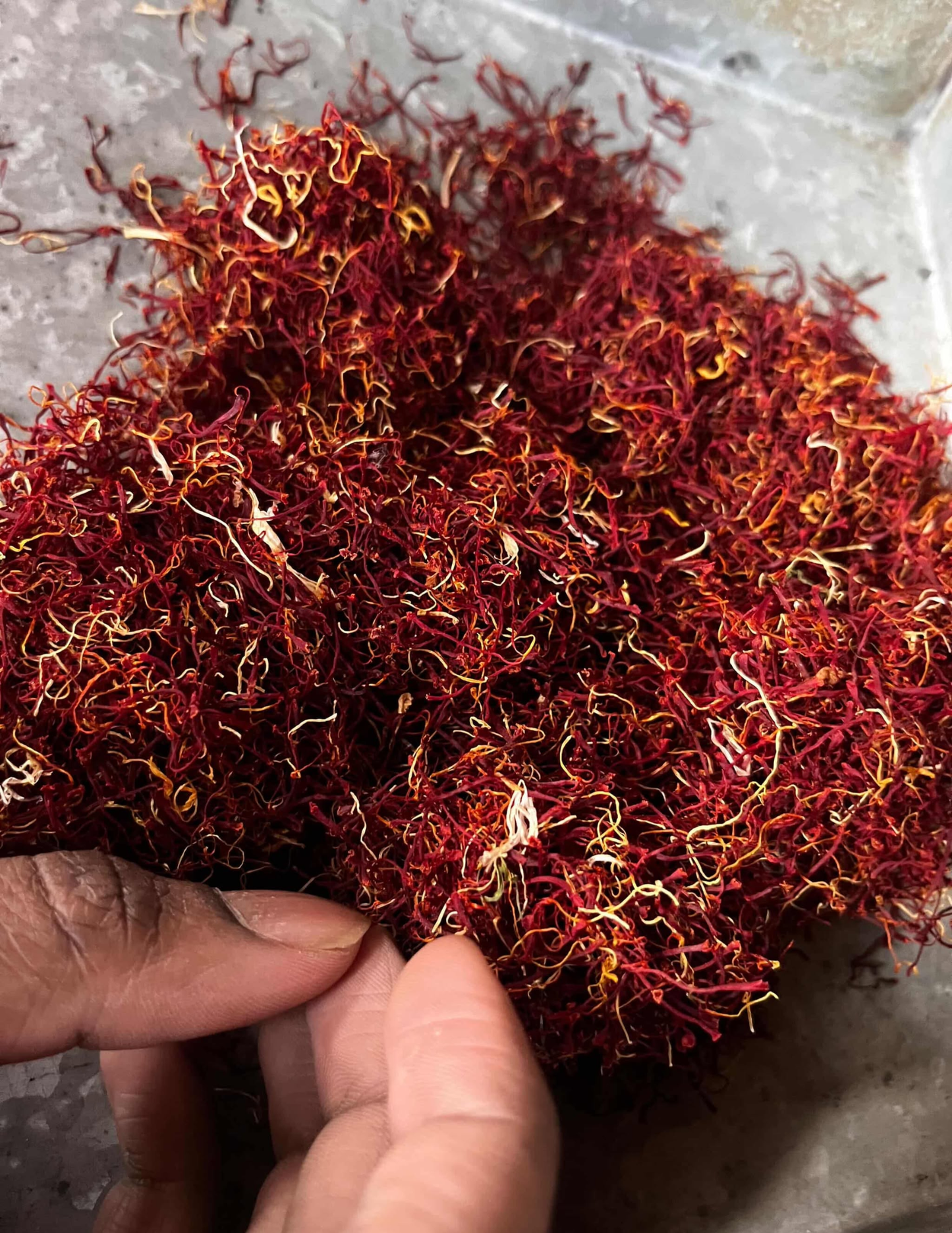 Kashmiri Lacha saffron